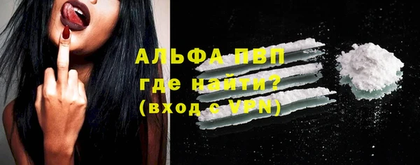 прущие крисы Бородино