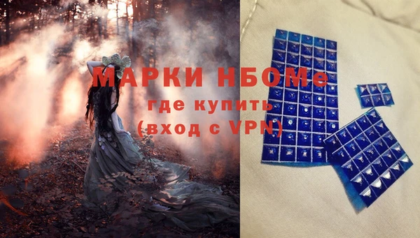 прущие крисы Бородино