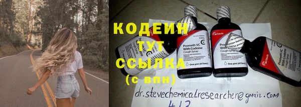 прущие крисы Бородино