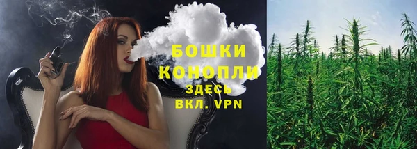 прущие крисы Бородино